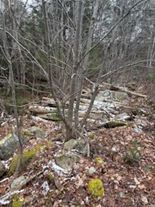$39,900.00: Lot Beech Hill Road, Beech Hill