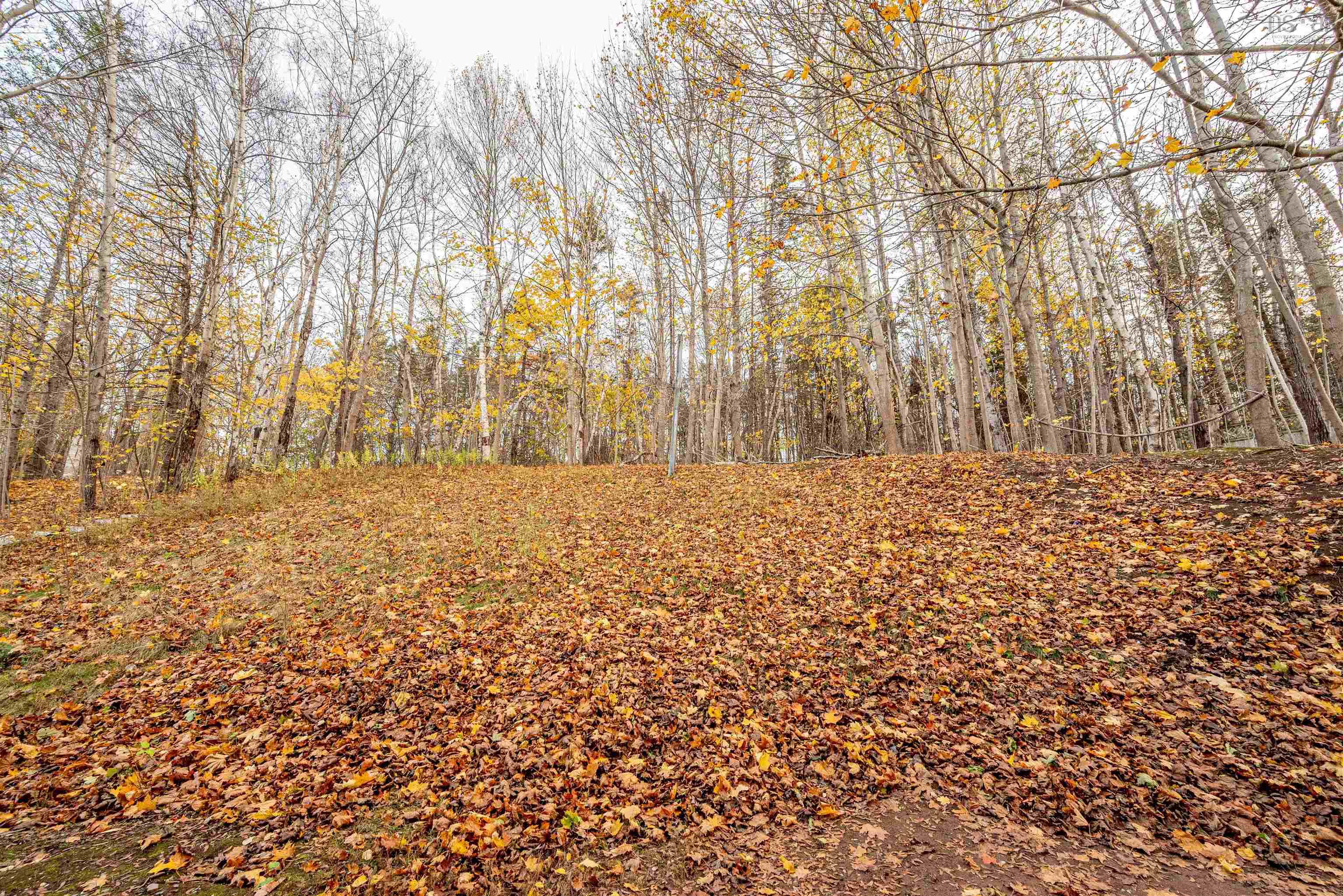 $405,000.00: 112 School Street, Kentville