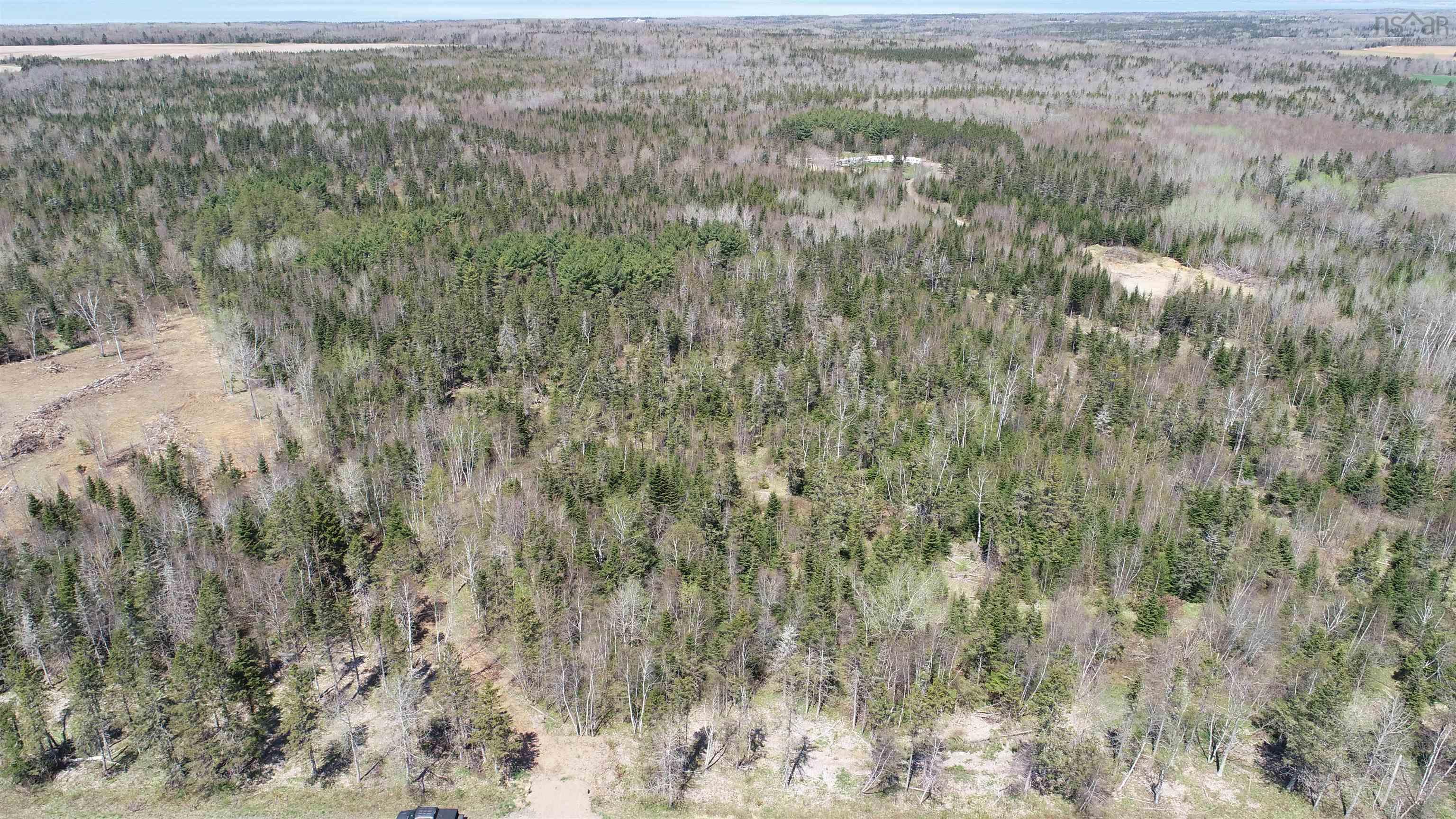 $49,000.00: Lot 4 Hiltz Road, Mountain Front