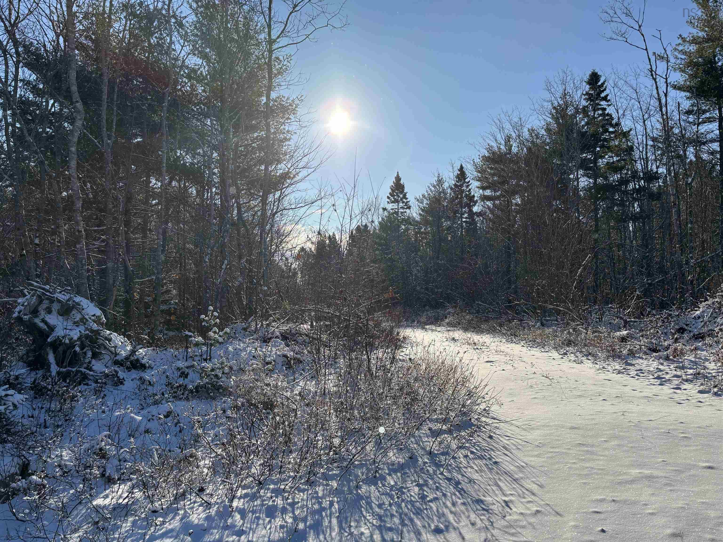 $149,900.00: Lot (PID 70164488) Highway 103, White Point