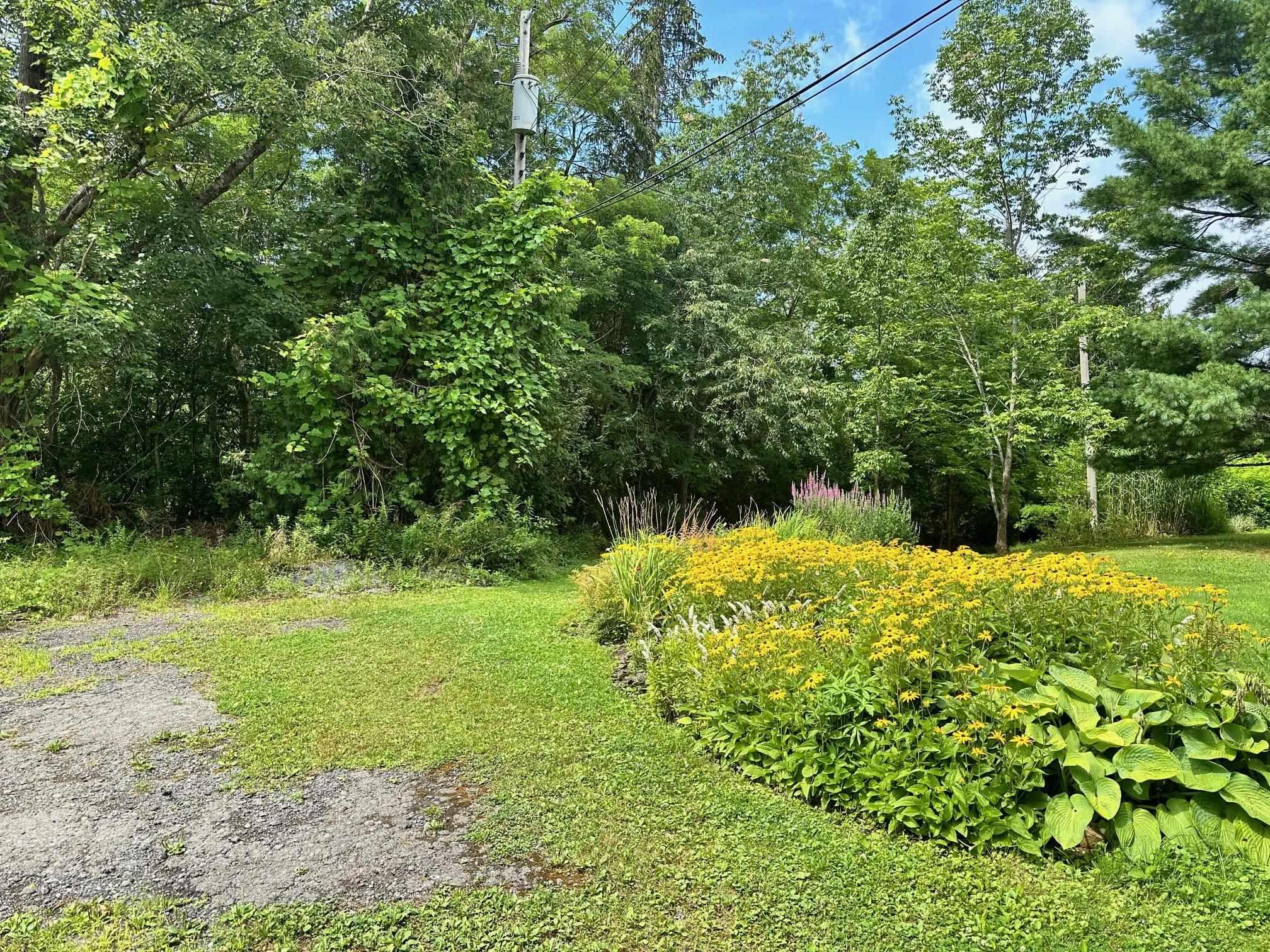 $449,900.00: 24 Buchanan Avenue, Enfield