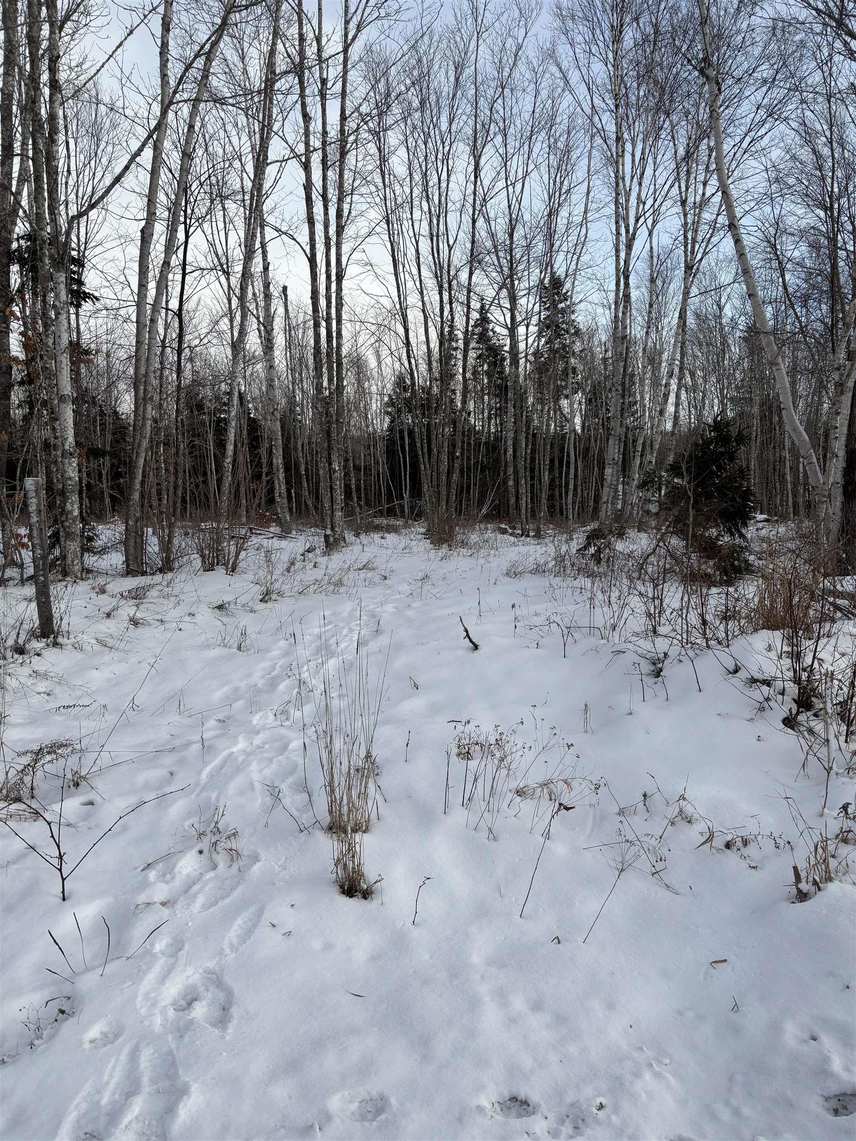 $280,000.00: 294 Condon Road, Scotsburn