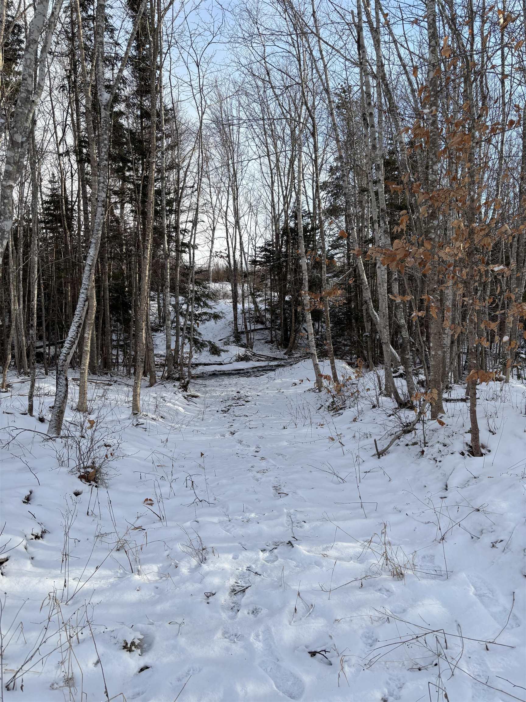 $280,000.00: 294 Condon Road, Scotsburn