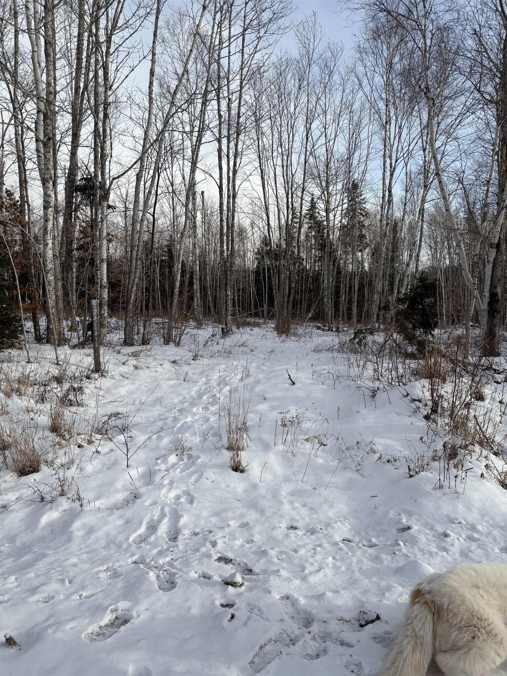 $280,000.00: 294 Condon Road, Scotsburn