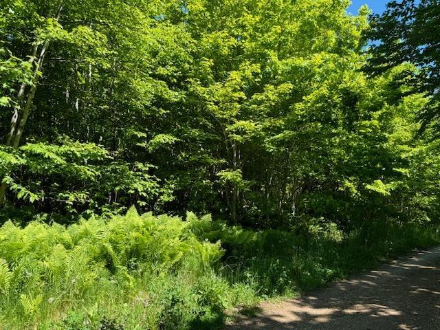 $49,900.00: Lot 9 Kempt Head Road, Kempt Head