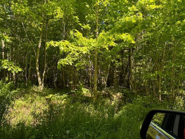 $49,900.00: Lot 9 Kempt Head Road, Kempt Head