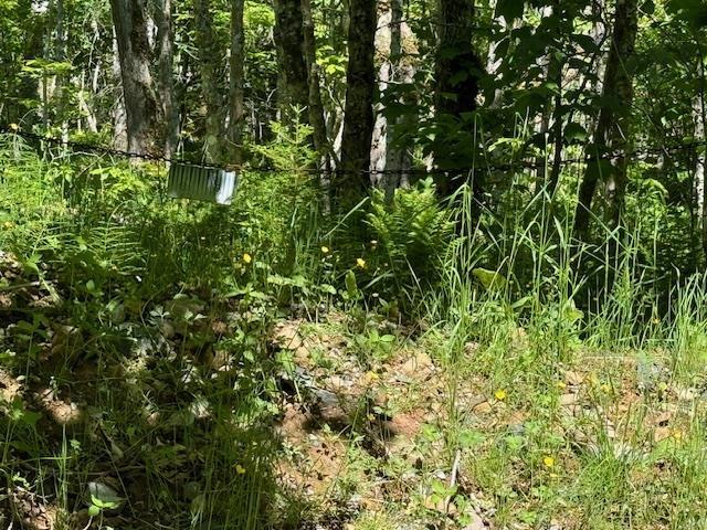 $49,900.00: Lot 9 Kempt Head Road, Kempt Head