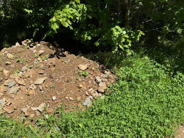 $49,900.00: Lot 9 Kempt Head Road, Kempt Head