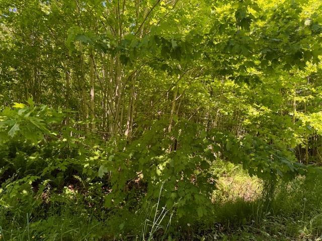$49,900.00: Lot 9 Kempt Head Road, Kempt Head