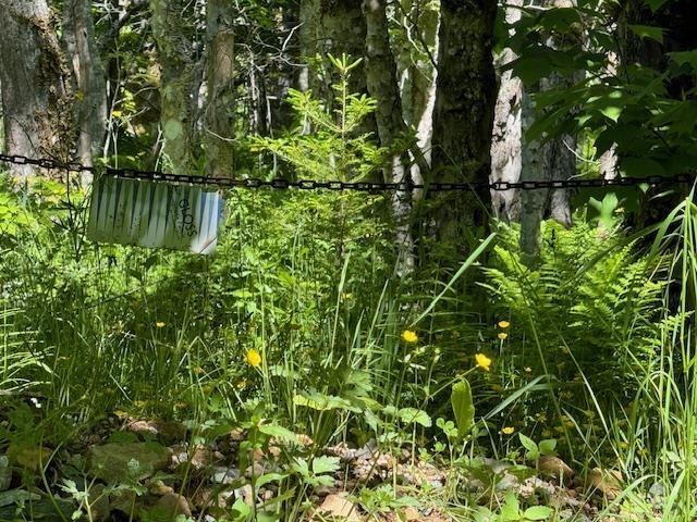 $49,900.00: Lot 9 Kempt Head Road, Kempt Head