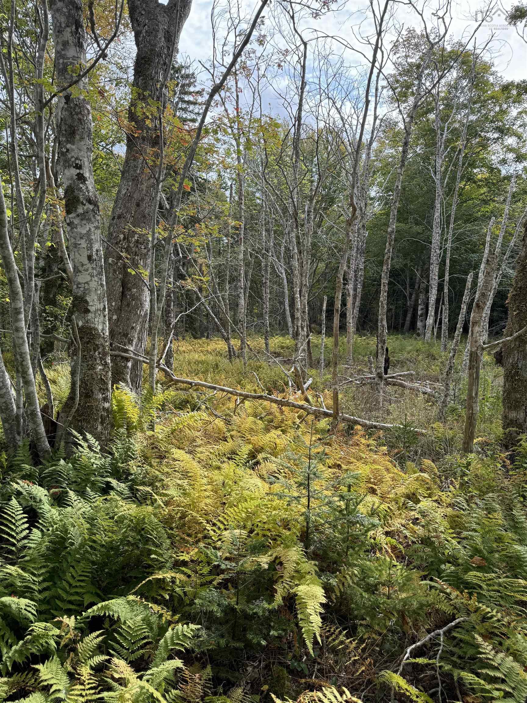 $49,900.00: Lot 9 Kempt Head Road, Kempt Head
