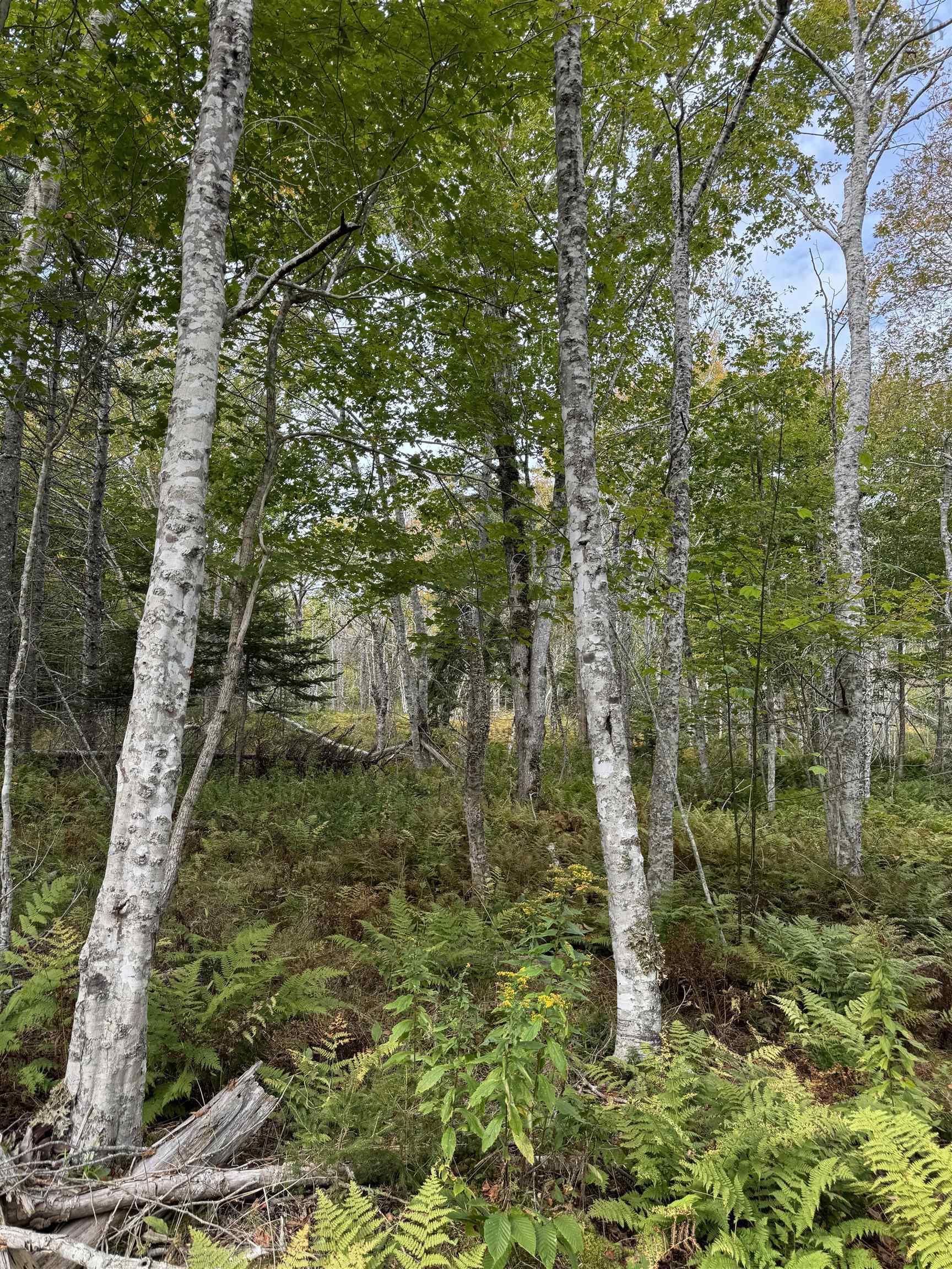 $49,900.00: Lot 9 Kempt Head Road, Kempt Head