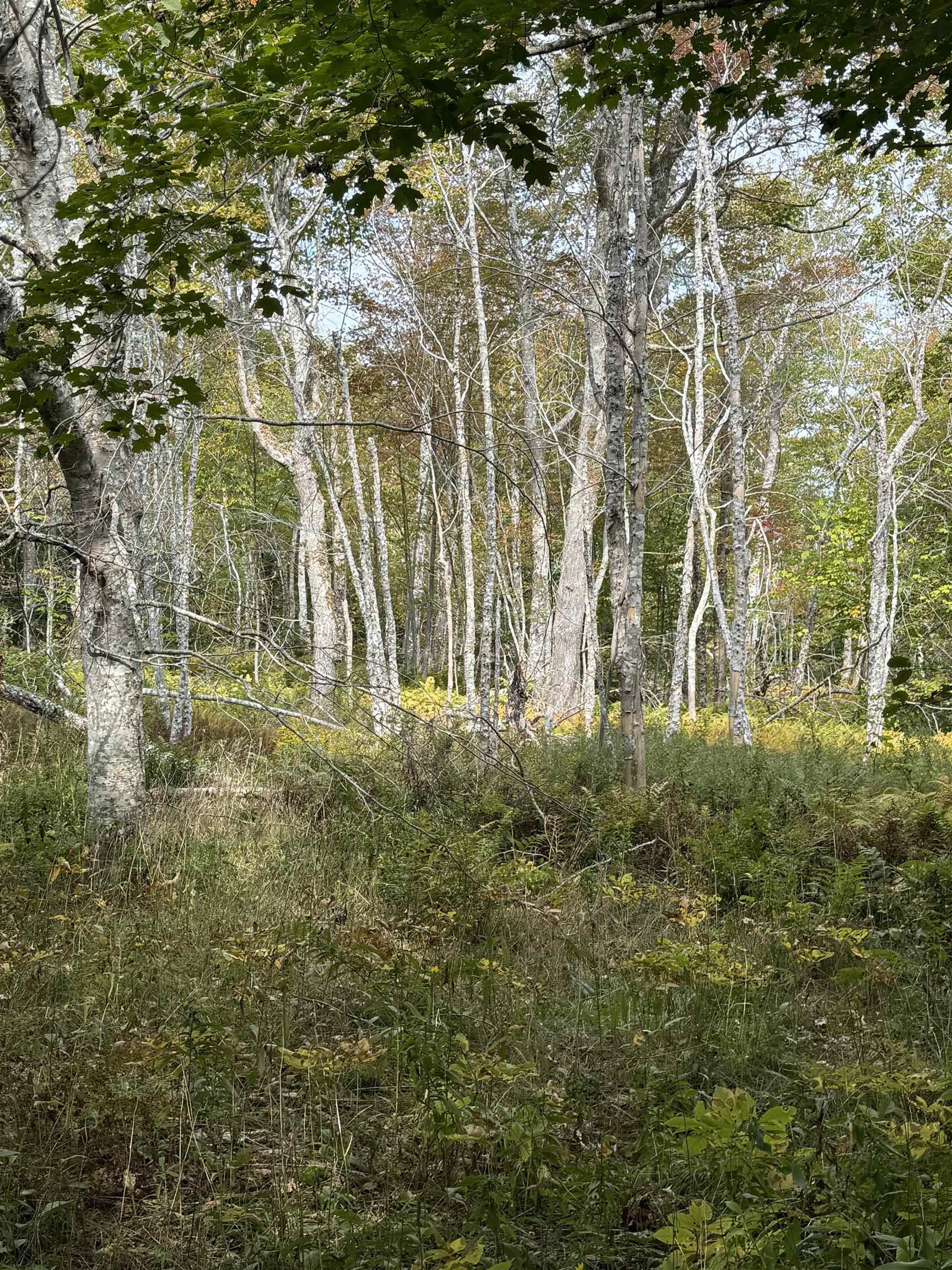 $49,900.00: Lot 9 Kempt Head Road, Kempt Head
