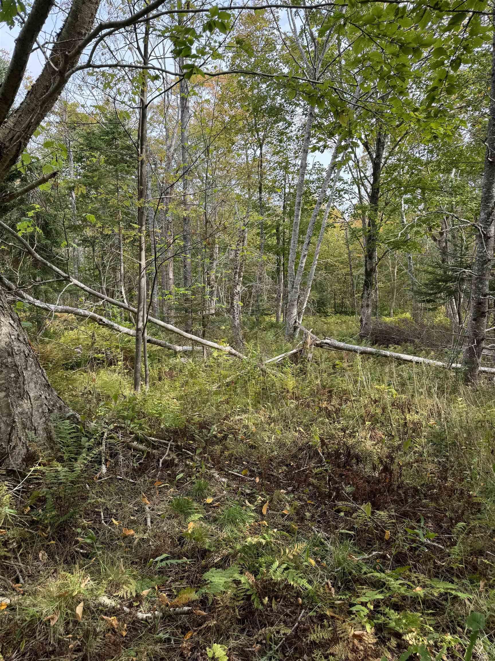 $49,900.00: Lot 9 Kempt Head Road, Kempt Head