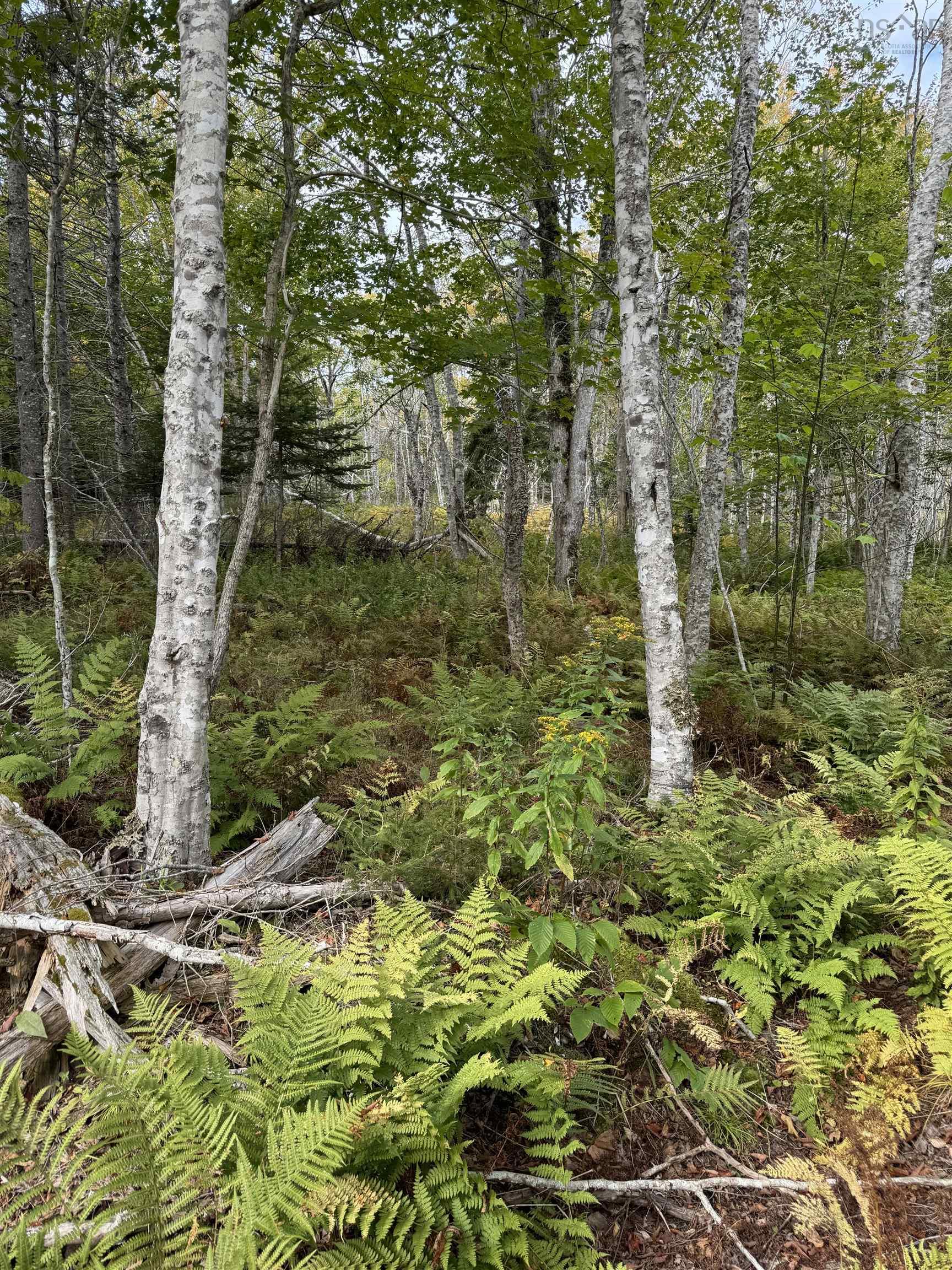 $49,900.00: Lot 9 Kempt Head Road, Kempt Head