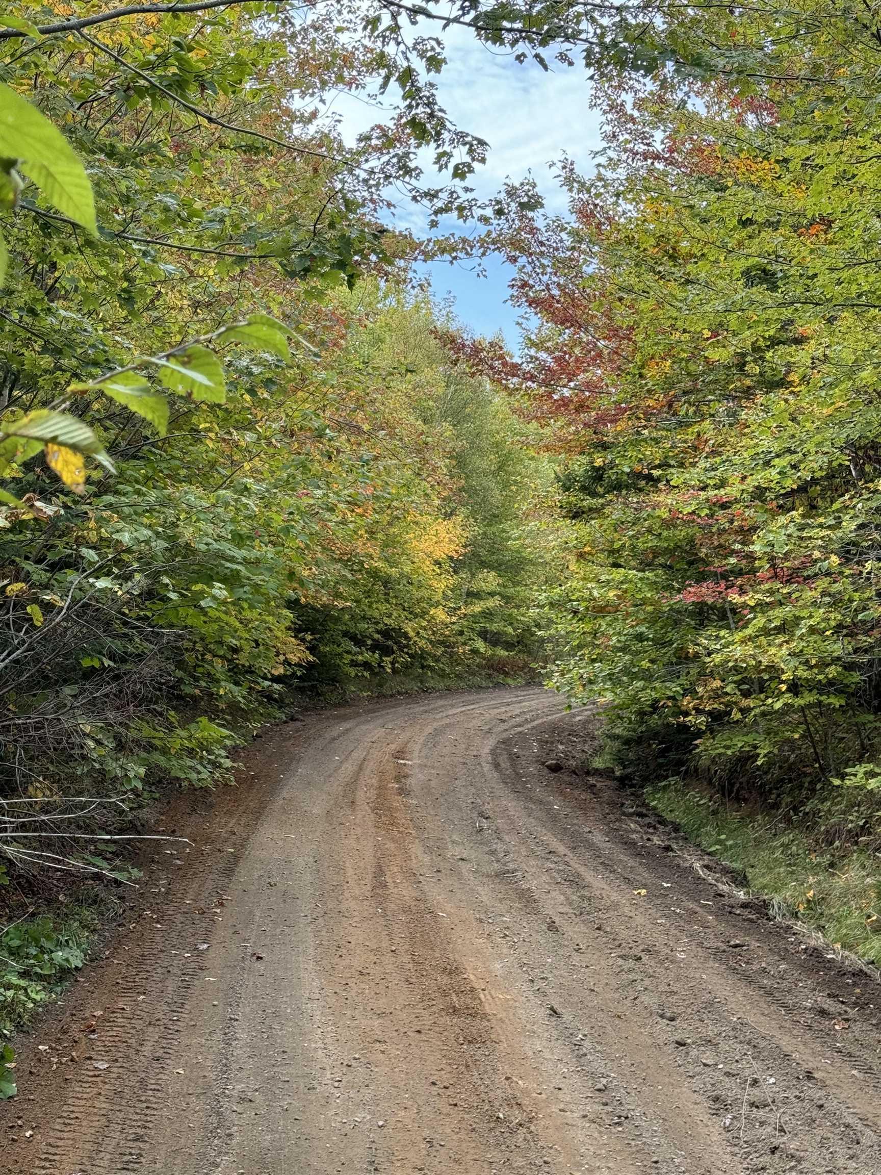 $49,900.00: Lot 9 Kempt Head Road, Kempt Head