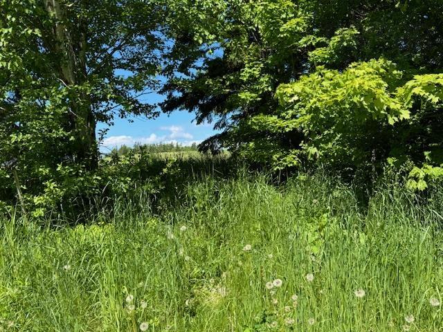 $49,900.00: Lot 9 Kempt Head Road, Kempt Head