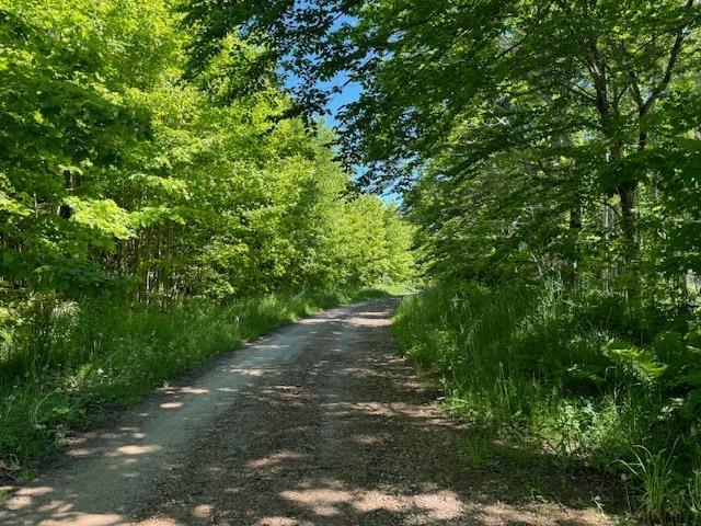 $49,900.00: Lot 9 Kempt Head Road, Kempt Head