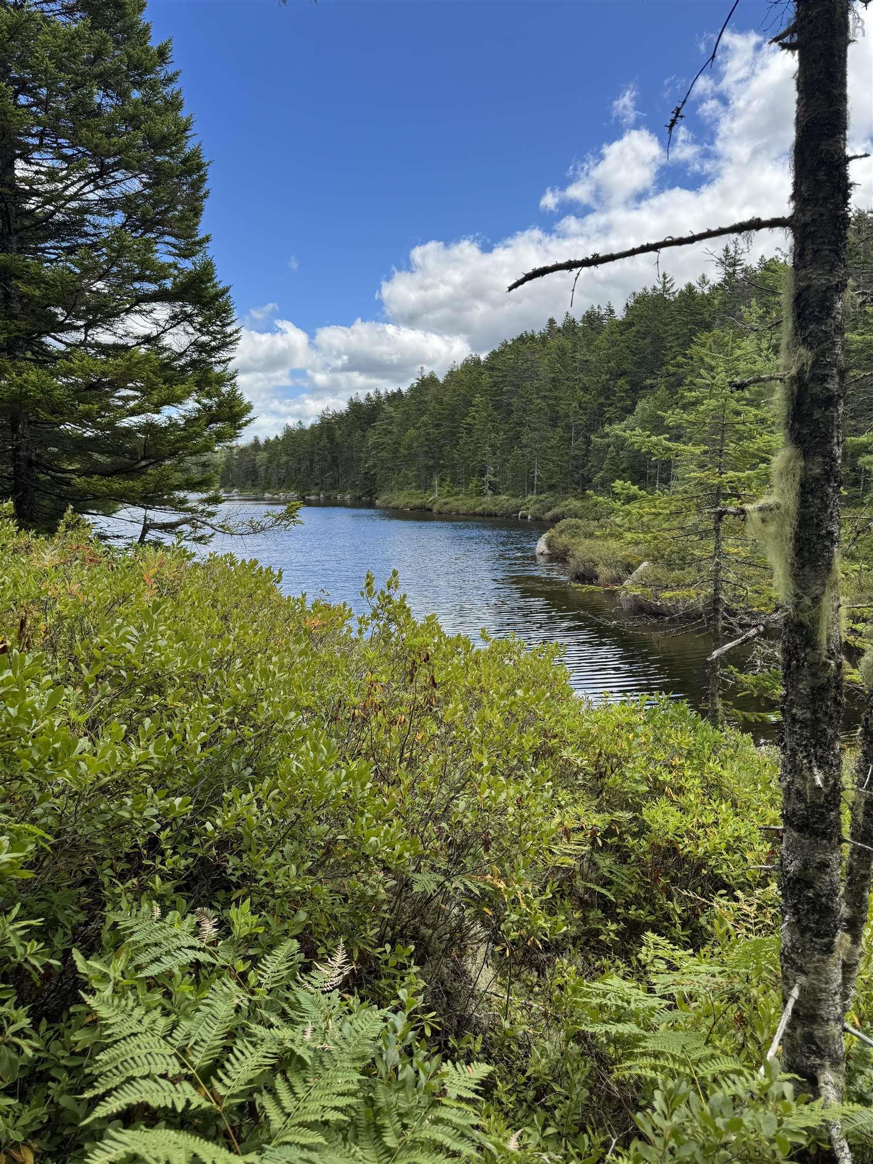 78 Aralia Lane, Upper Tantallon, NS (MLS 202501562)