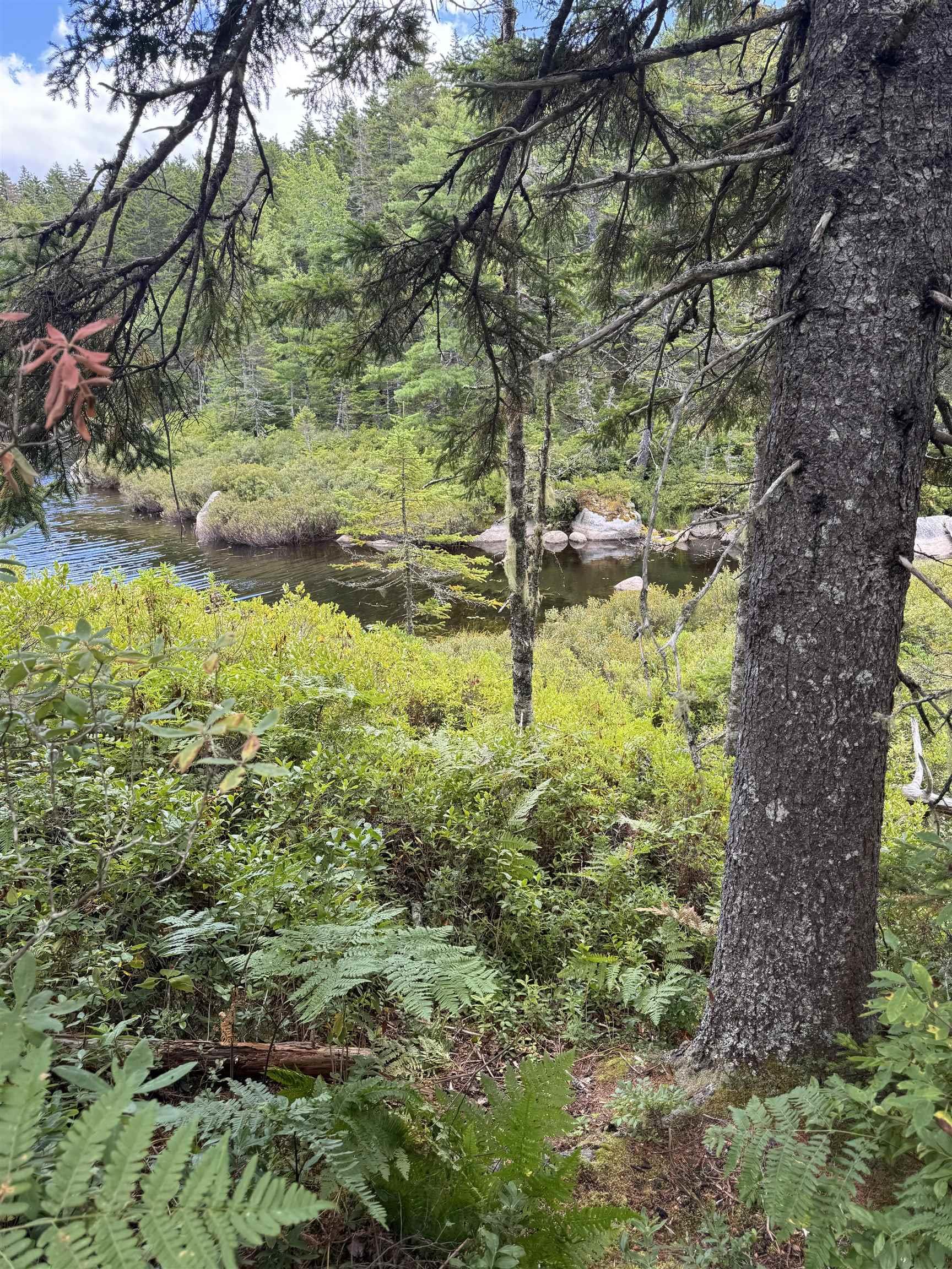 78 Aralia Lane, Upper Tantallon, NS (MLS 202501562)