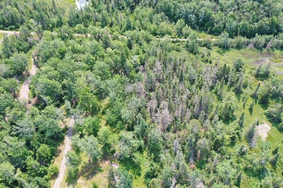 $159,000.00: Lot 08-1 329 Chisholm Road, Conns Mills