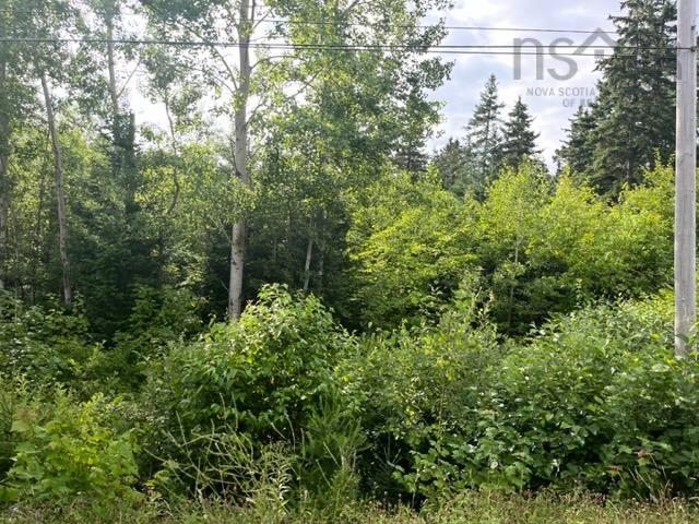 $39,500.00: 19 Highway, Troy
