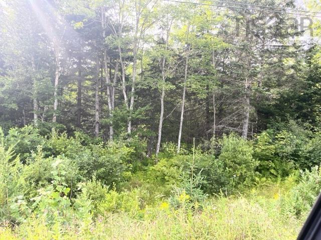 $39,500.00: 19 Highway, Troy