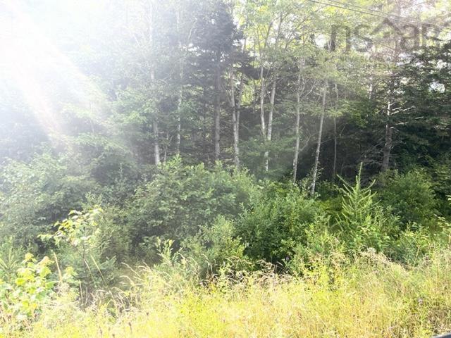 $39,500.00: 19 Highway, Troy