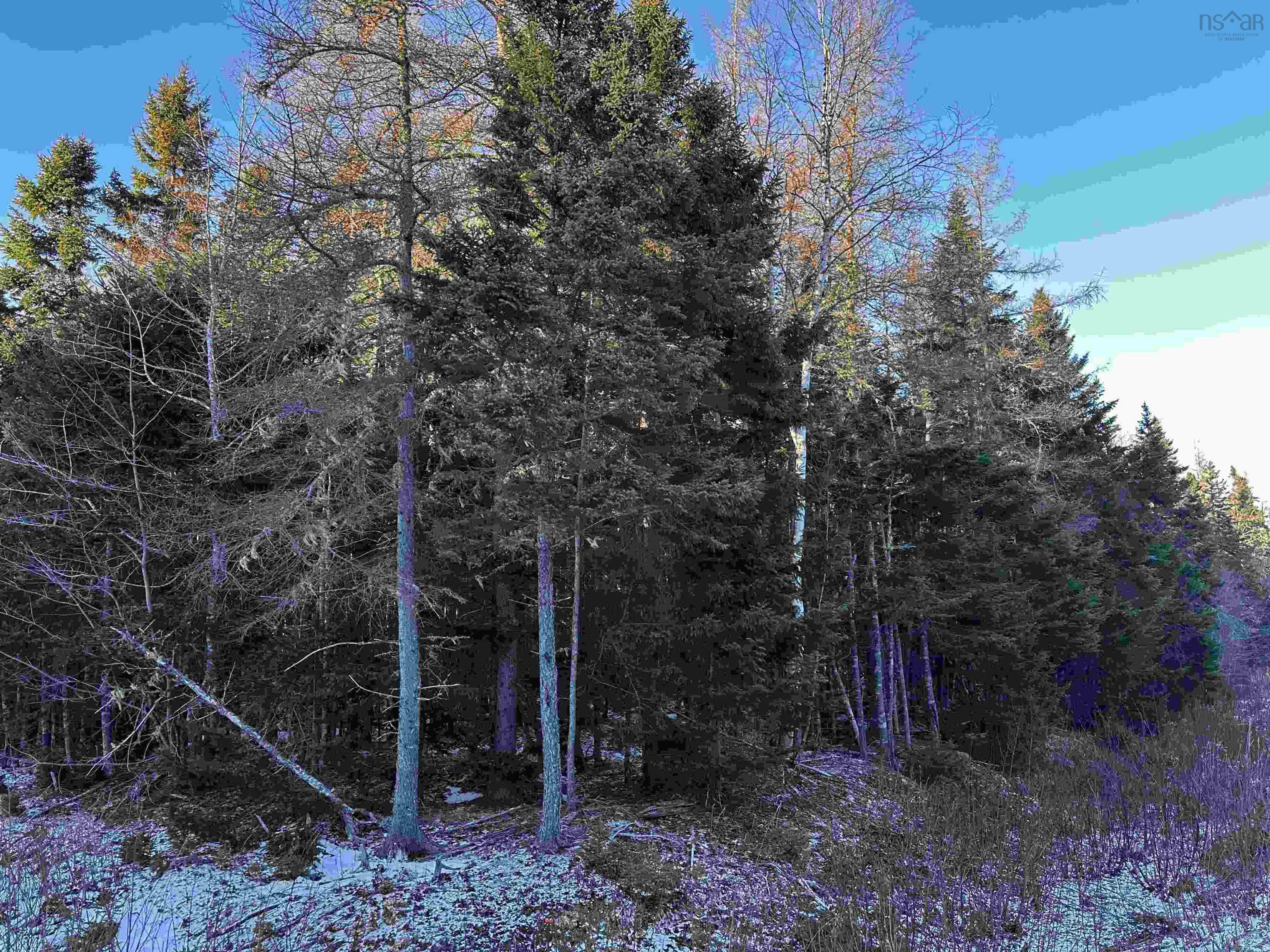 $85,000.00: Lot 31 Marble Mountain Road, Valley Mills
