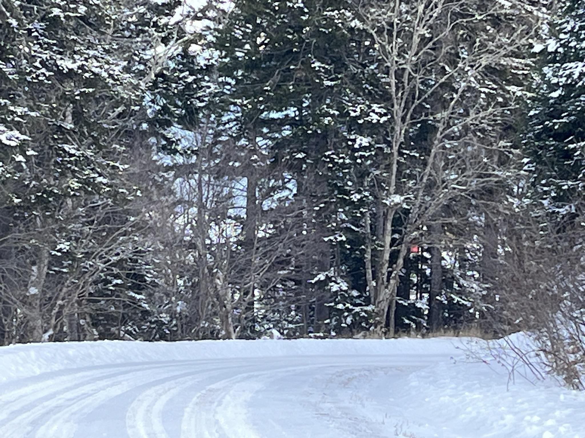 $264,000.00: 100 Acres Spencers Beach (Hwy 209) Road, Spencers Island
