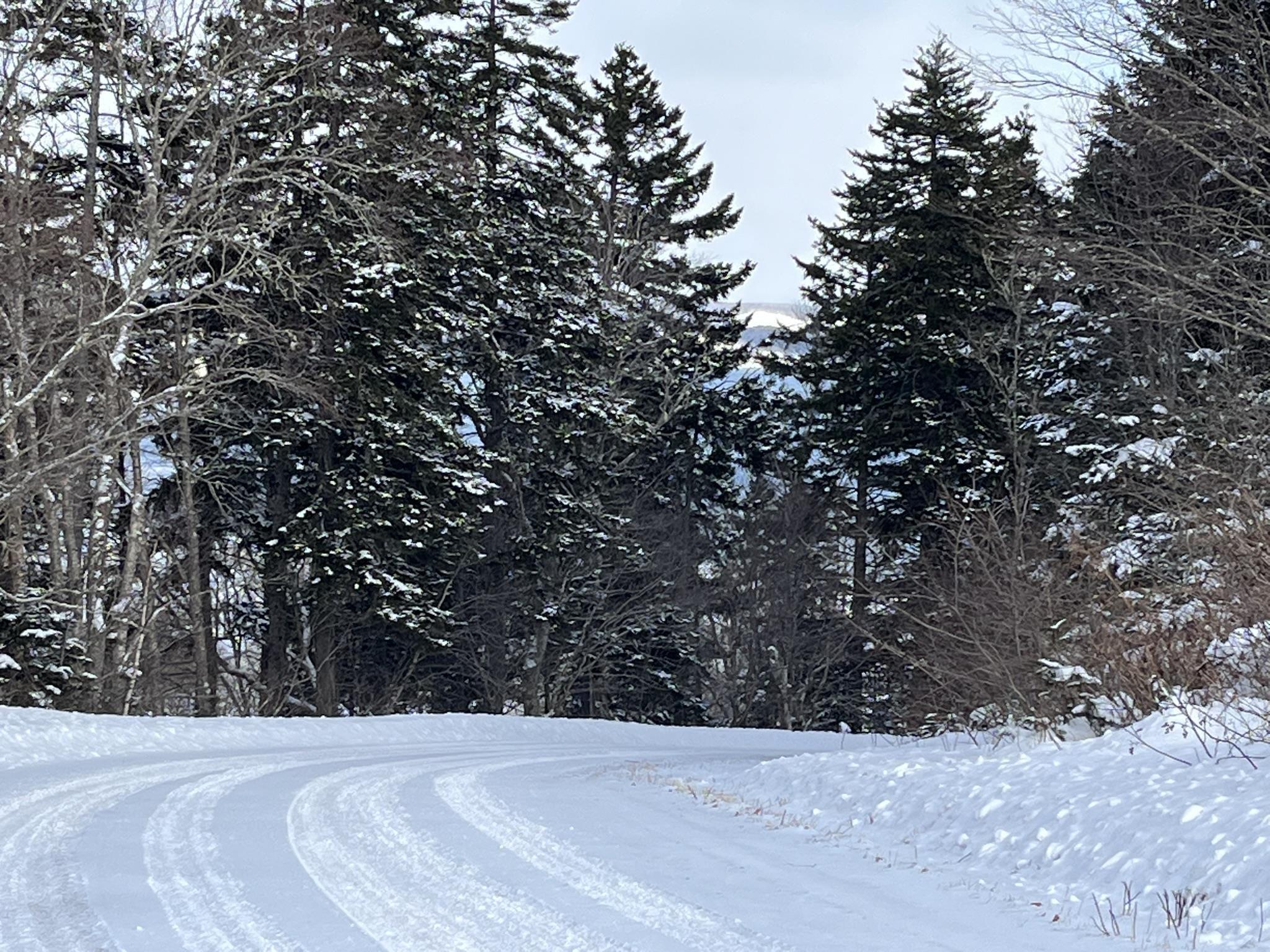 $264,000.00: 100 Acres Spencers Beach (Hwy 209) Road, Spencers Island
