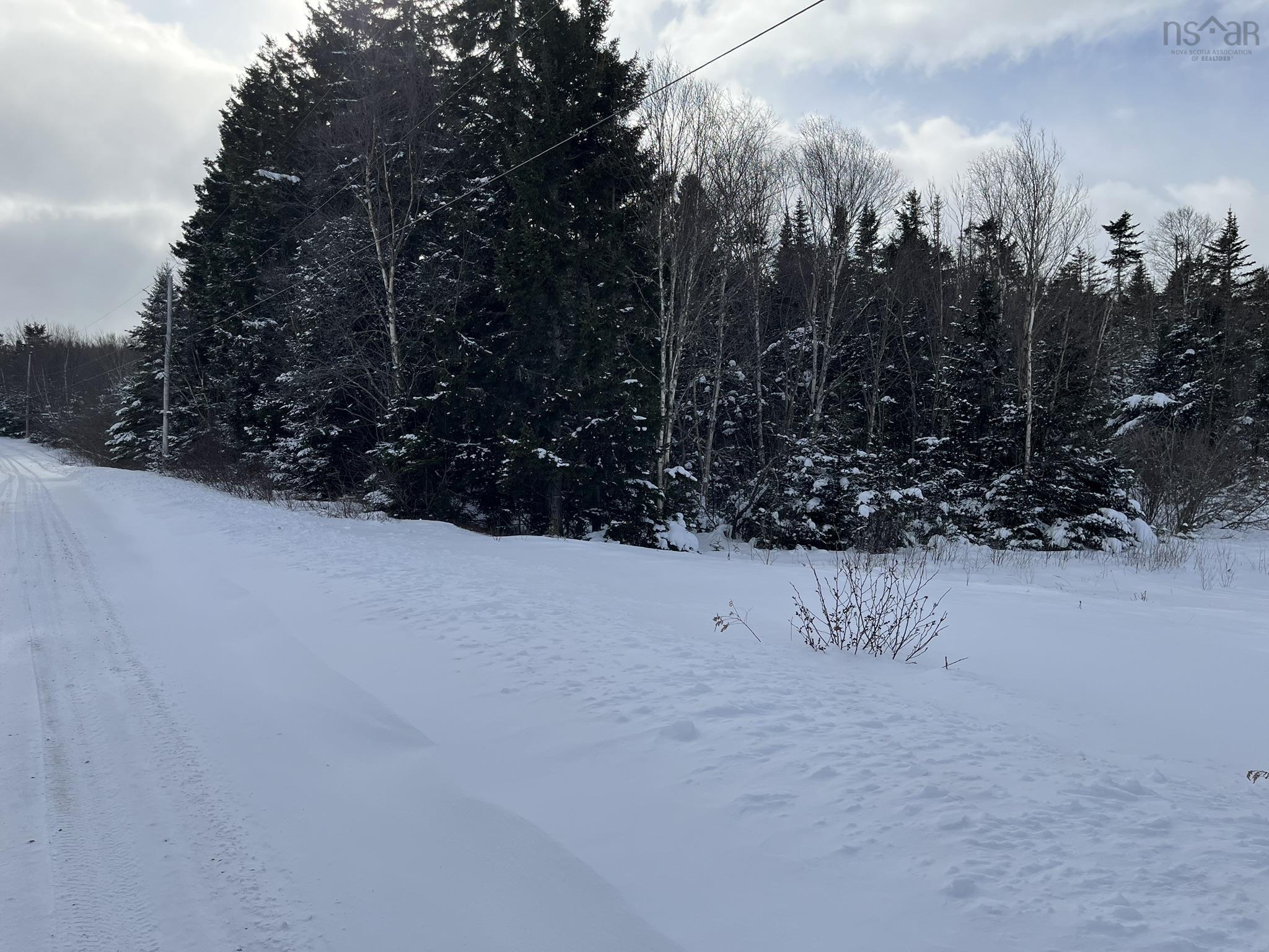 $264,000.00: 100 Acres Spencers Beach (Hwy 209) Road, Spencers Island