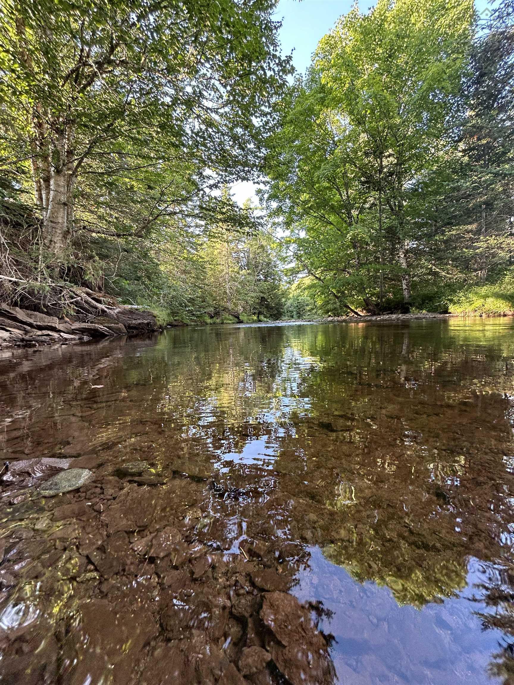 Ripley Road, Williamsdale, NS (MLS 202502056)