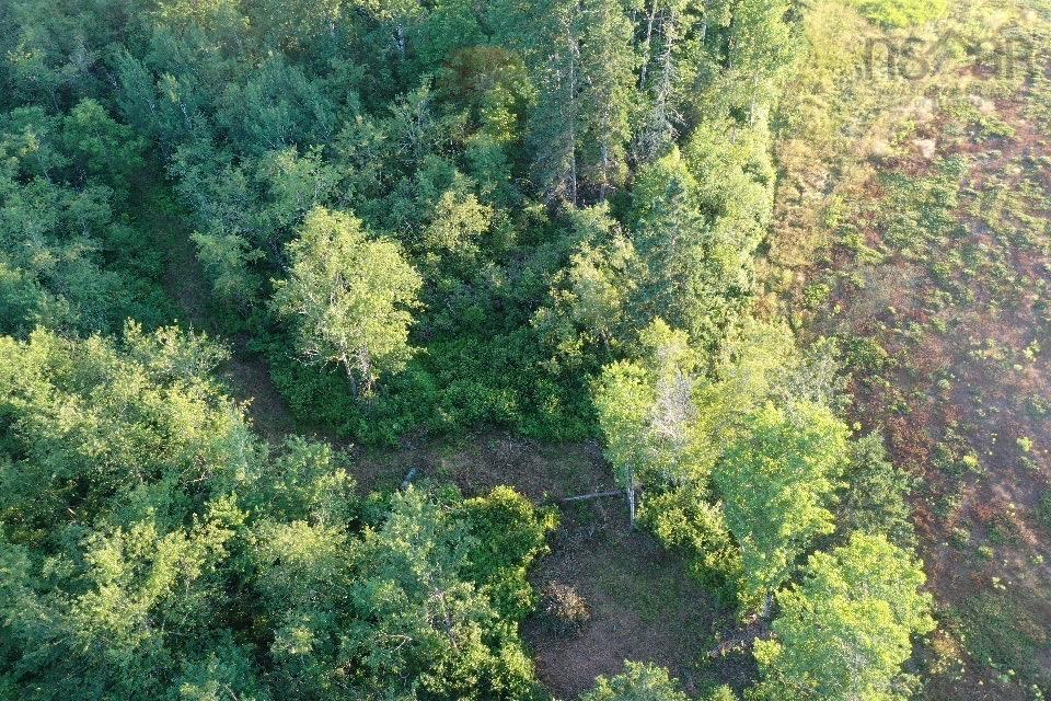 $49,900.00: Ripley Road, Williamsdale