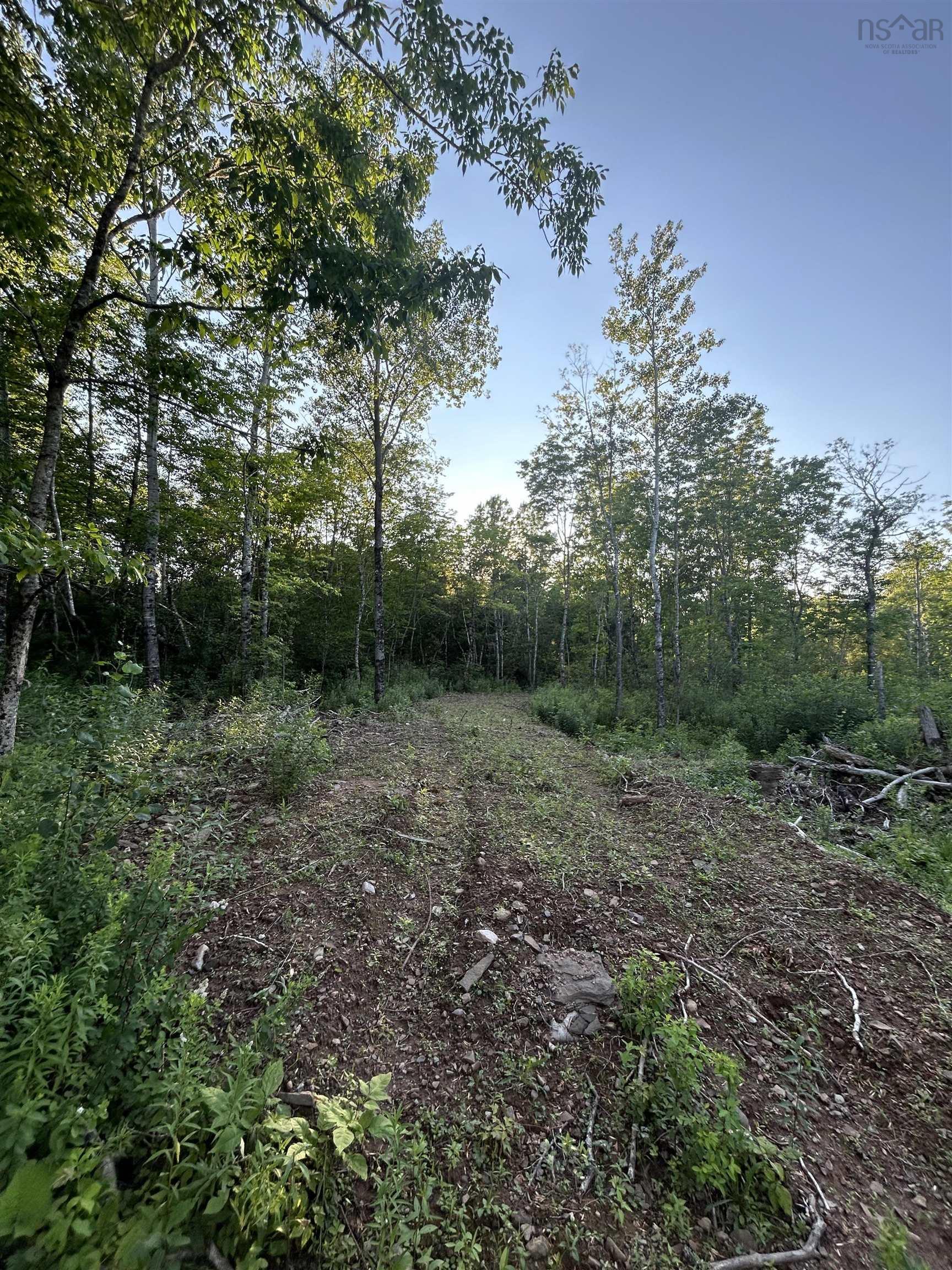 $49,900.00: Ripley Road, Williamsdale