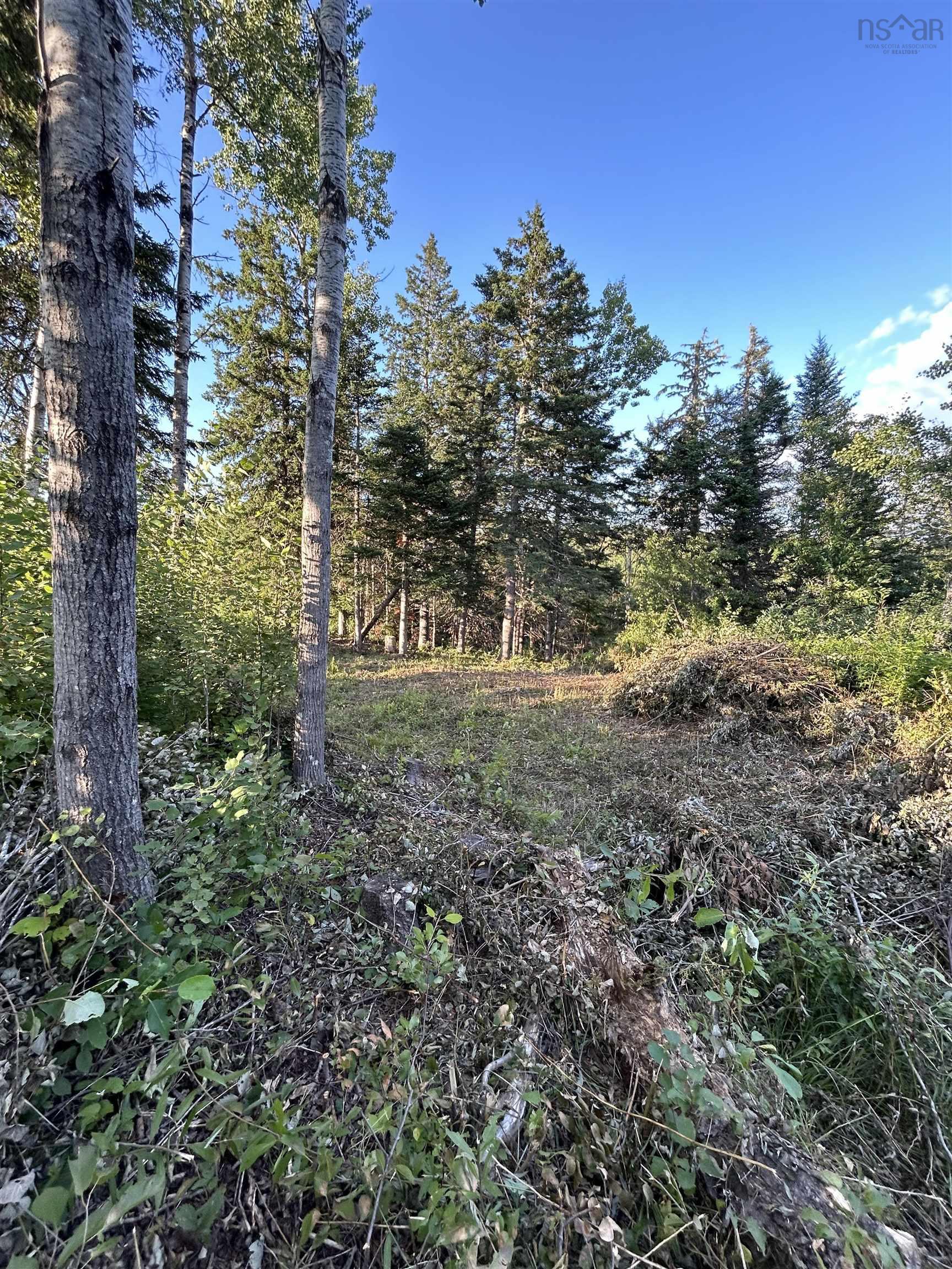 $49,900.00: Ripley Road, Williamsdale