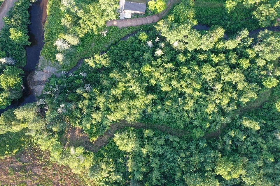 $49,900.00: Ripley Road, Williamsdale