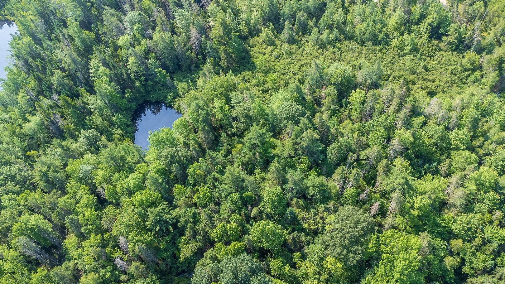 $109,900.00: Lot HP-1 Highway 14, Windsor Forks