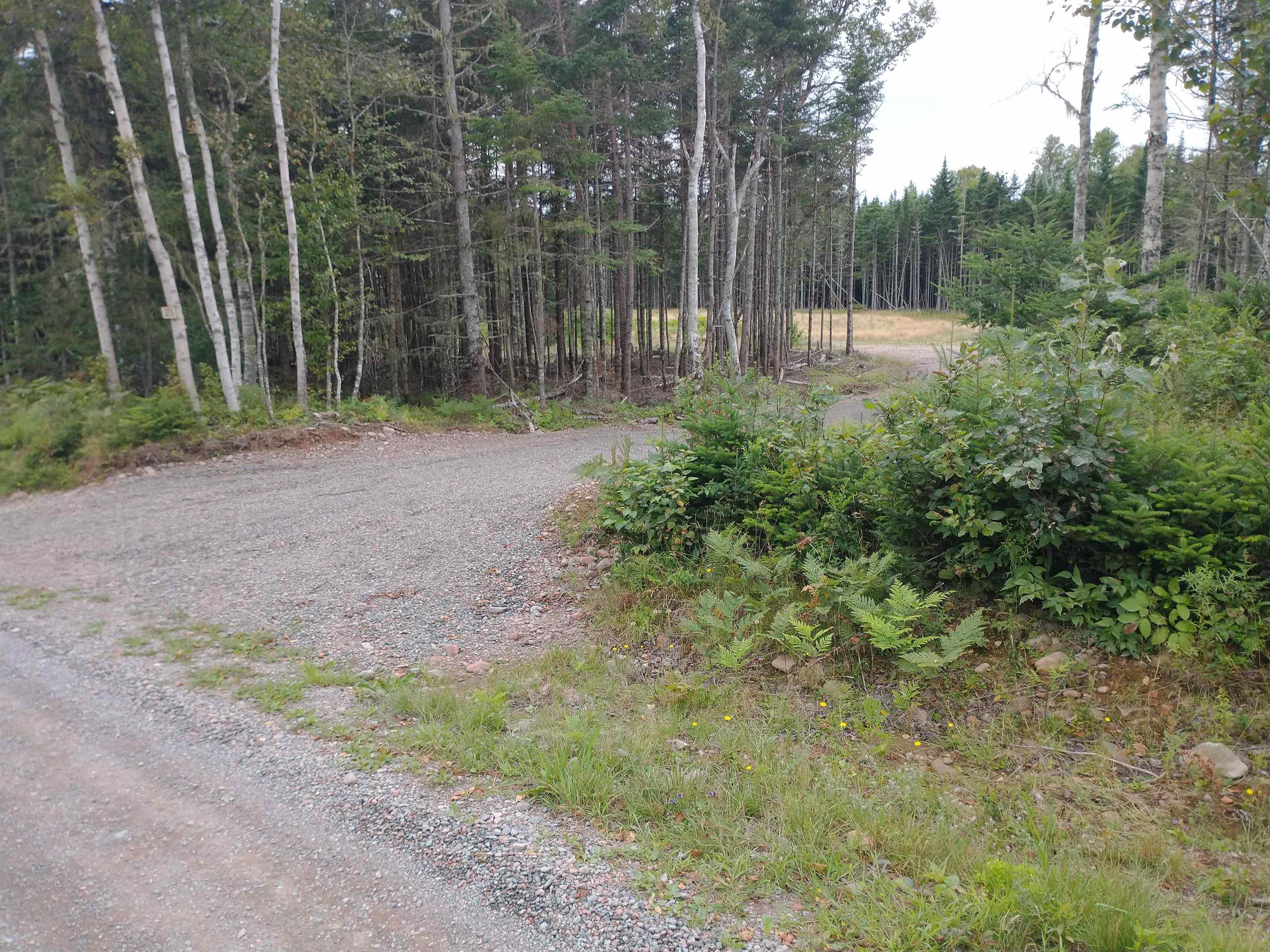 $23,000.00: Lot BM-17 ORCHARD BEACH Drive, Portapique