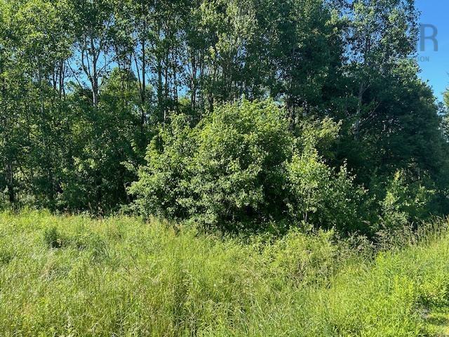 $89,900.00: Mines Road, Upper Falmouth