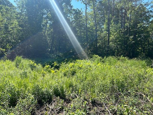 $89,900.00: Mines Road, Upper Falmouth
