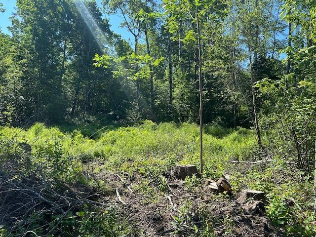 $89,900.00: Mines Road, Upper Falmouth