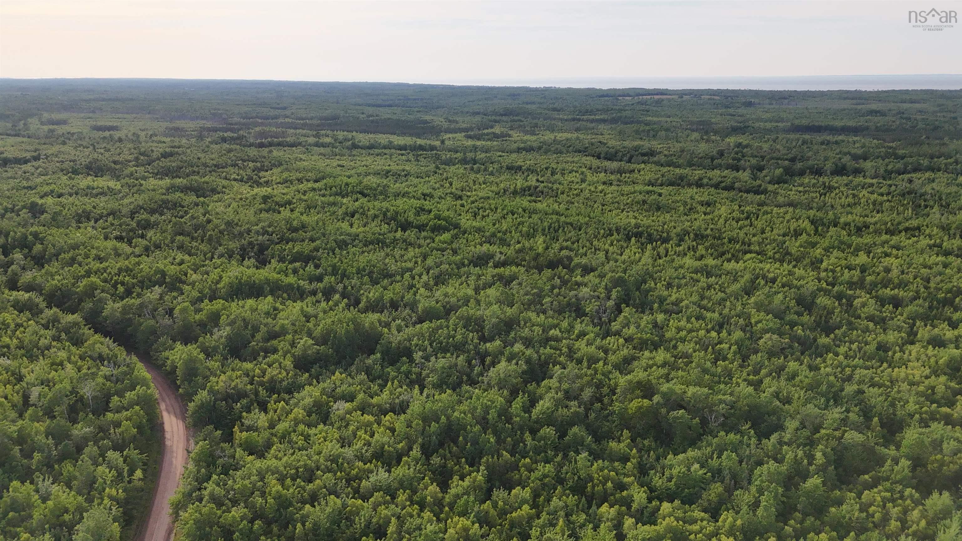 458 Acres Protection Road, Three Brooks, NS (MLS® 202502384)