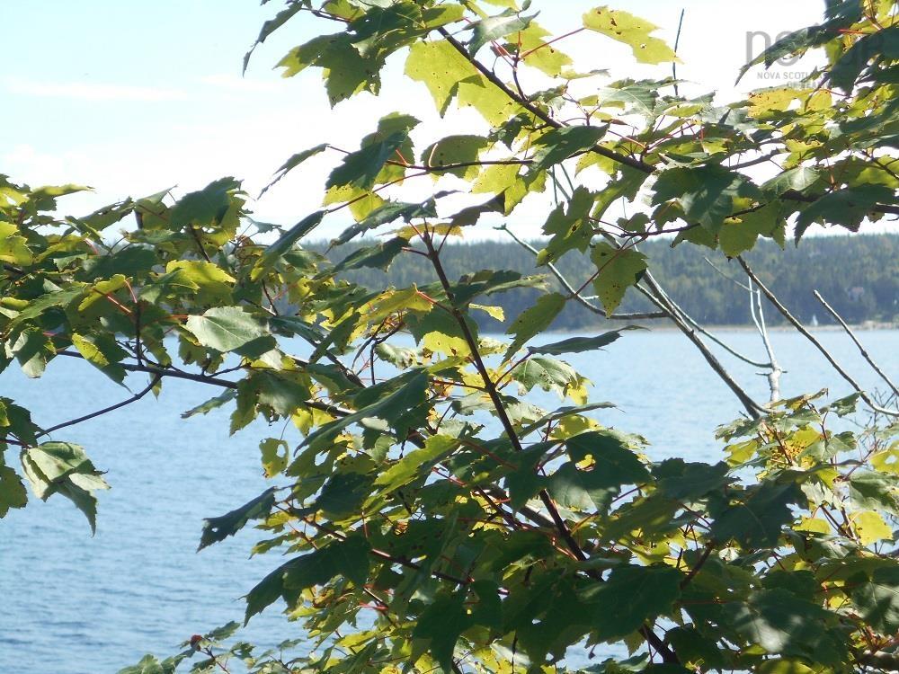 Lot 2 Shad Bay, Shad Bay, NS (MLS 202502423)