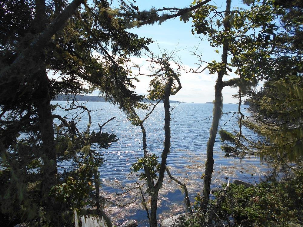 Lot 2 Shad Bay, Shad Bay, NS (MLS 202502423)