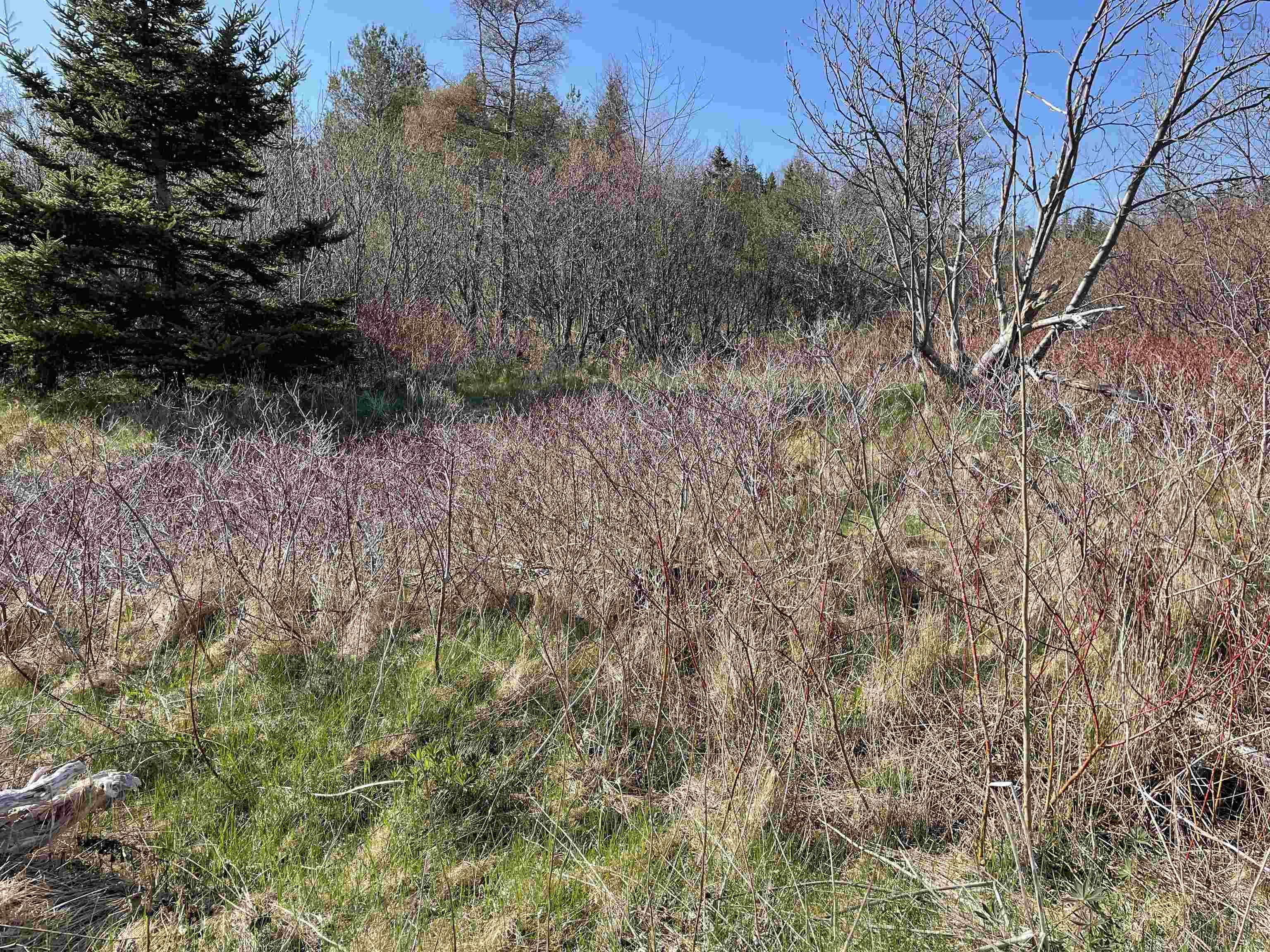 $95,000.00: 105 Highway, Baddeck