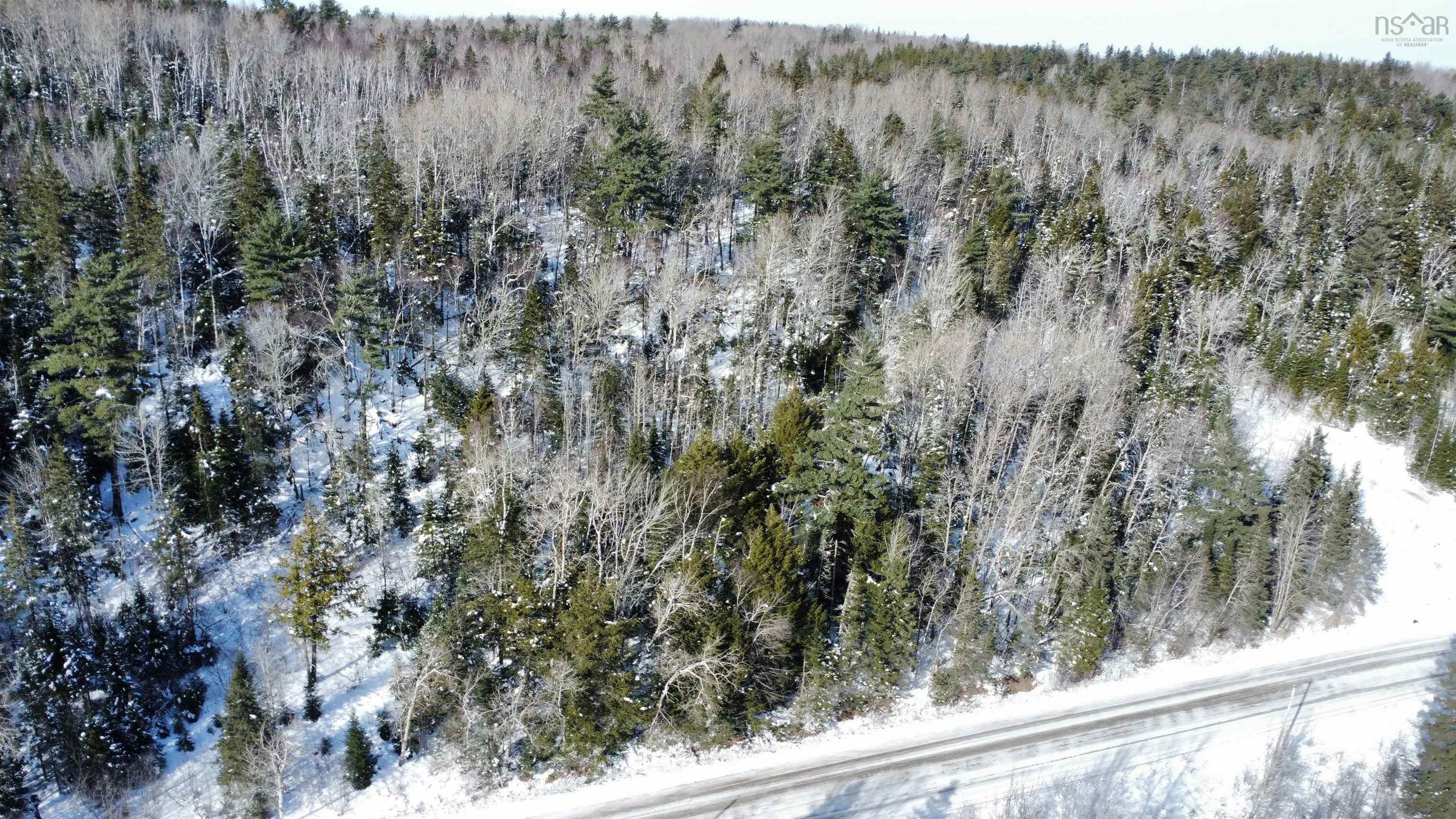 Thomson Road, Birchwood, NS (MLS 202502486)