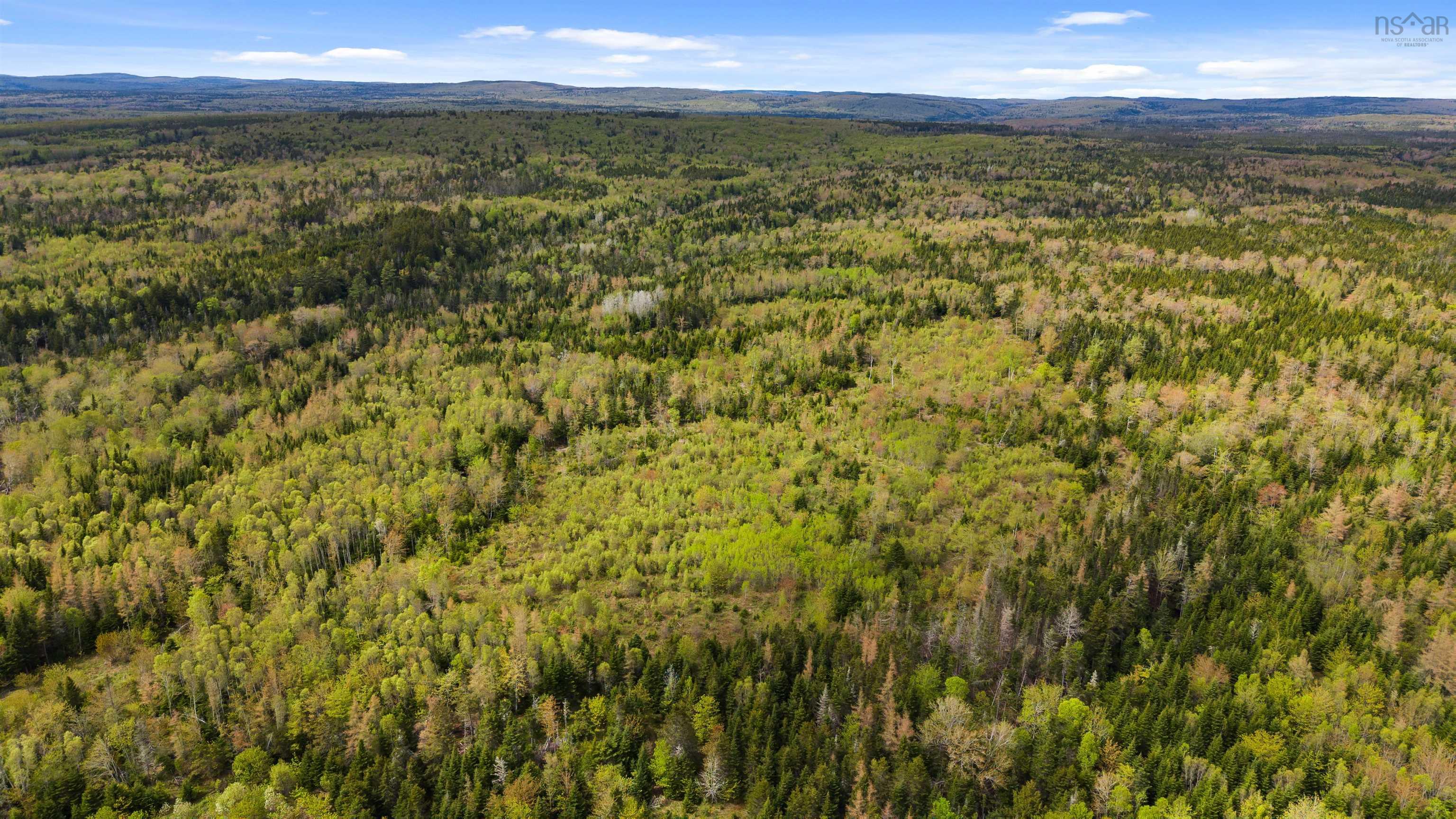 $450,000.00: ONSLOW MOUNTAIN Road, Onslow Mountain