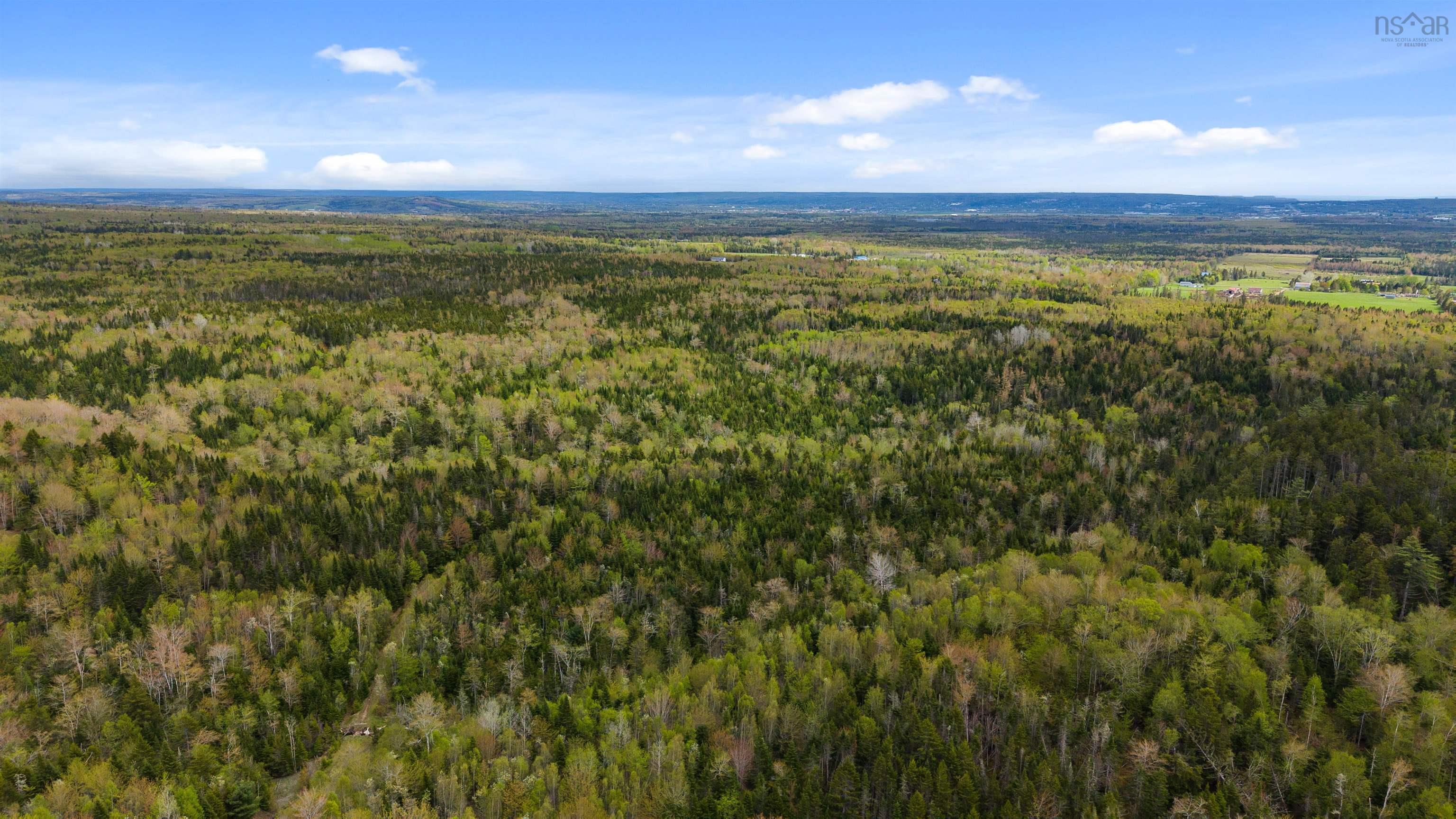 $450,000.00: ONSLOW MOUNTAIN Road, Onslow Mountain