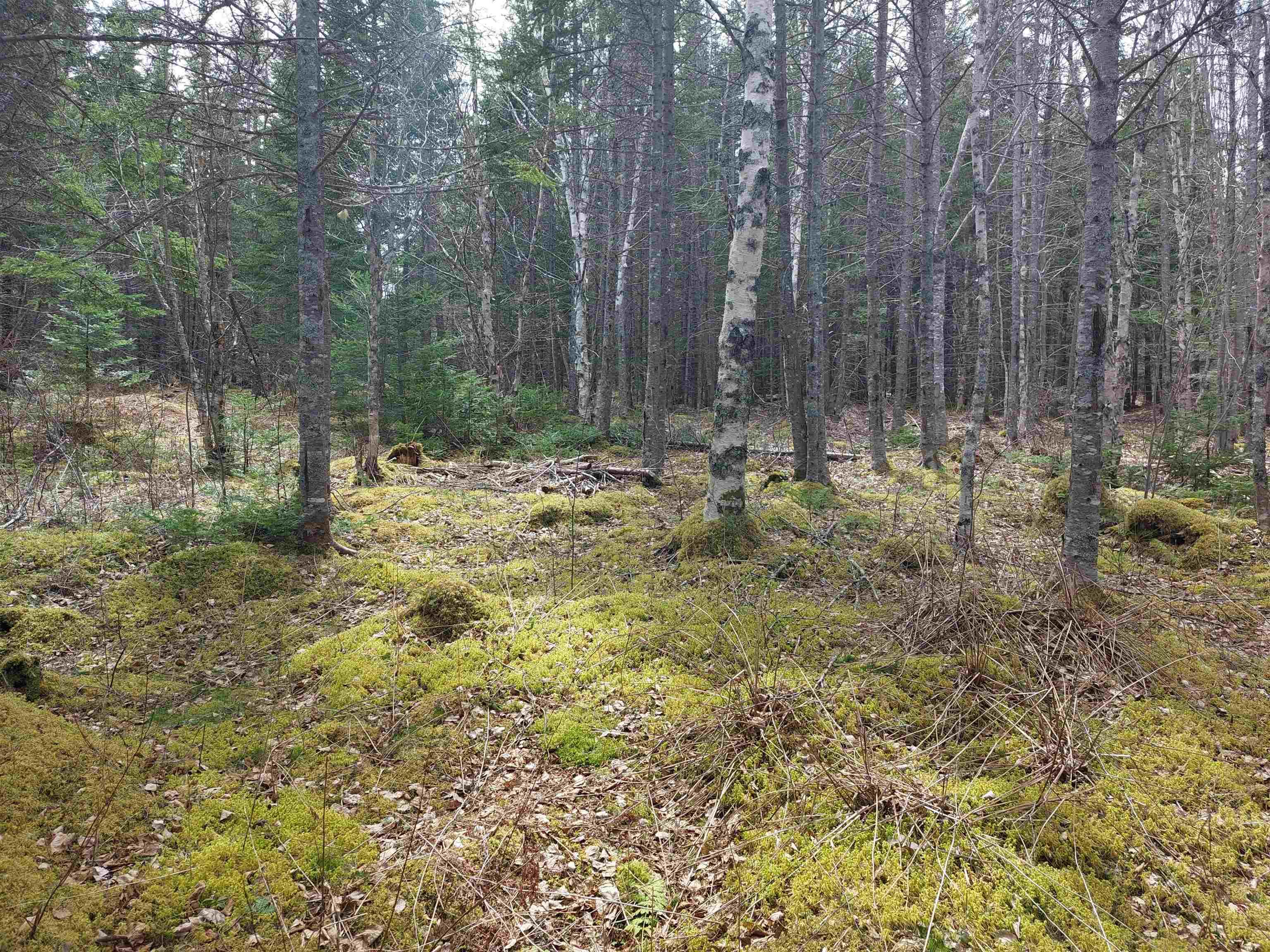 $39,000.00: Lot 5 Evanston Rd, Evanston